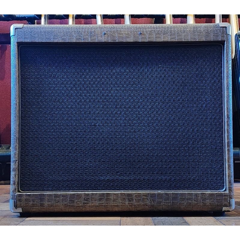 AMPLIFICADOR TECH 21 BRONZEWOOD 60