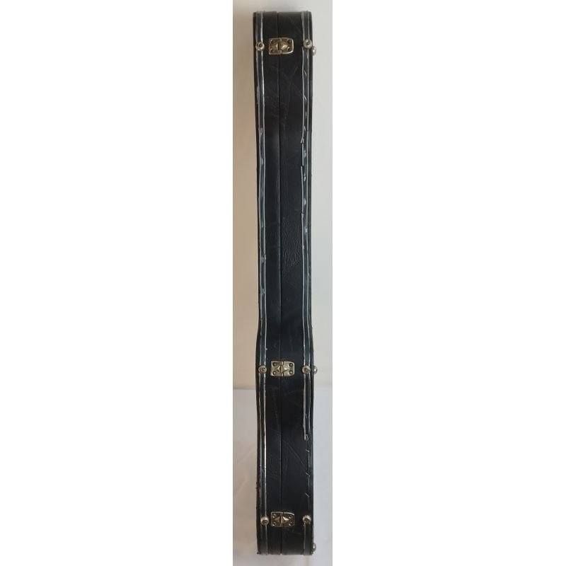 CASE VIENA PARA STRATOCASTER