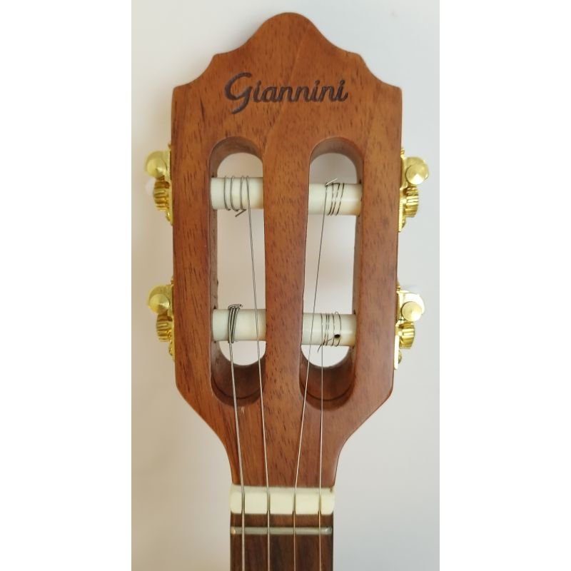 CAVAQUINHO GIANNINI RAIZ CS1