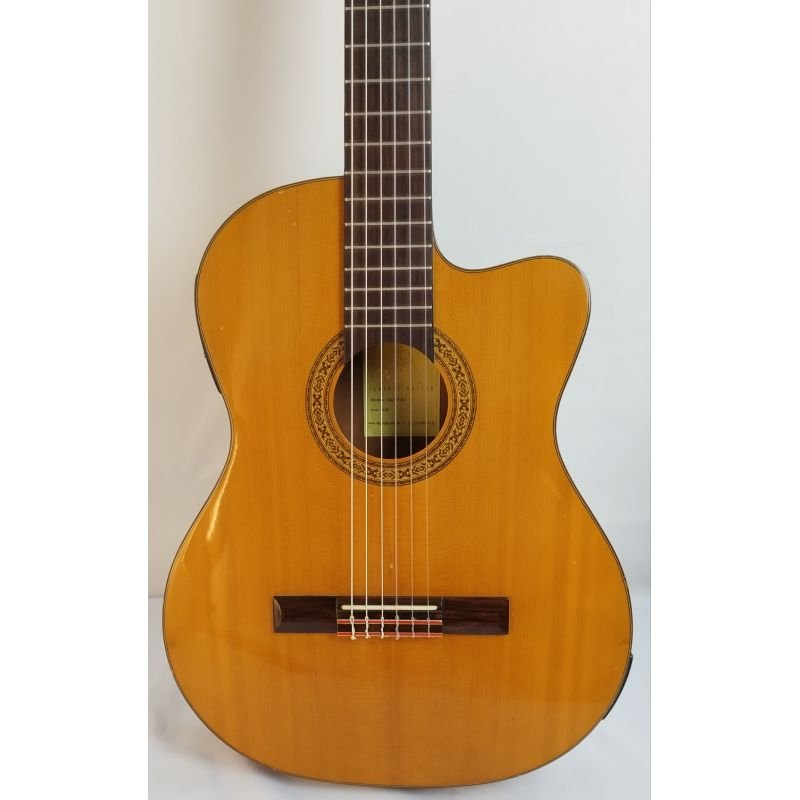 VIOLÃO DI GIORGIO TALENT SL-1