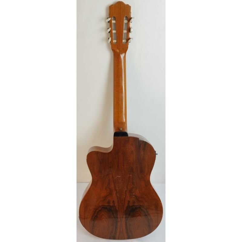 VIOLÃO DI GIORGIO TALENT SL-1