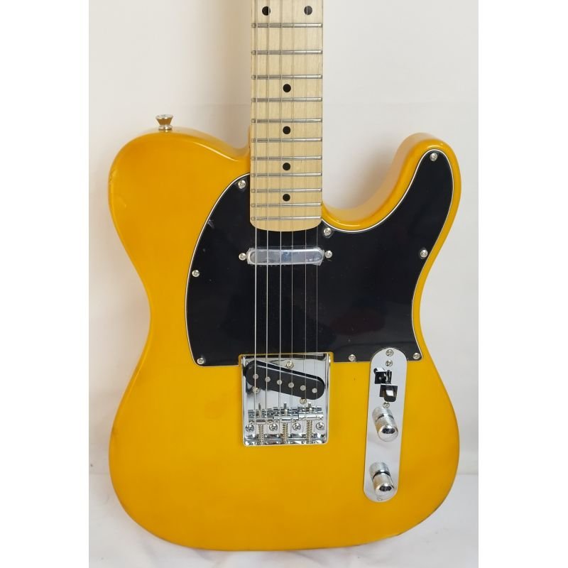 GUITARRA MICHAEL TELE SLIDE GM385