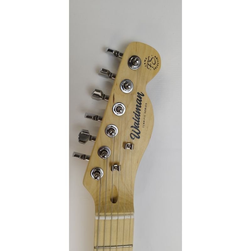 GUITARRA WALDMAN TERRIFIC SERIES