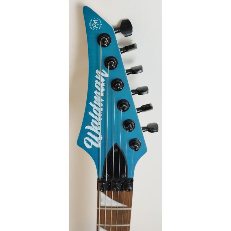 GUITARRA WALDMAN WIG450X C/ UPGRADES