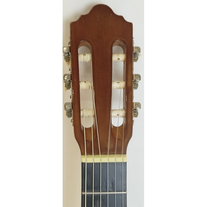 VIOLÃO ASHLAND BY CRAFTER AC-10 PAM