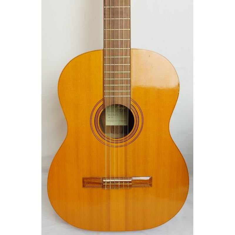 VIOLÃO CLÁSSICO DI GIORGIO ESTUDANTE 18