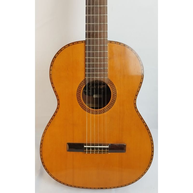 VIOLÃO GIANNINI AWN 300