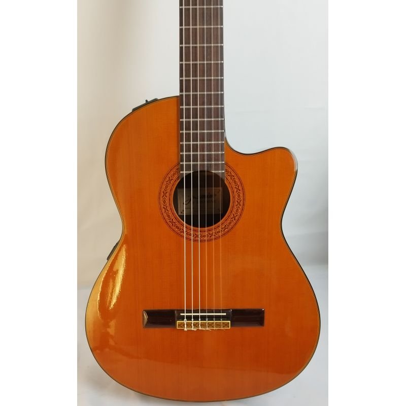 VIOLÃO JASMINE TC28C
