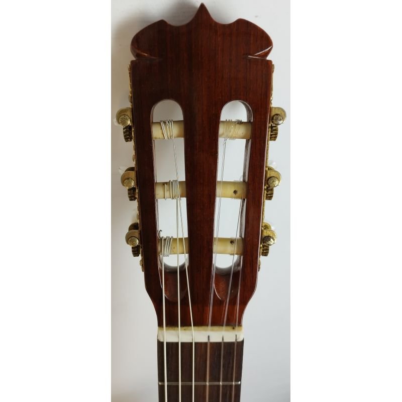 VIOLÃO JASMINE TC28C