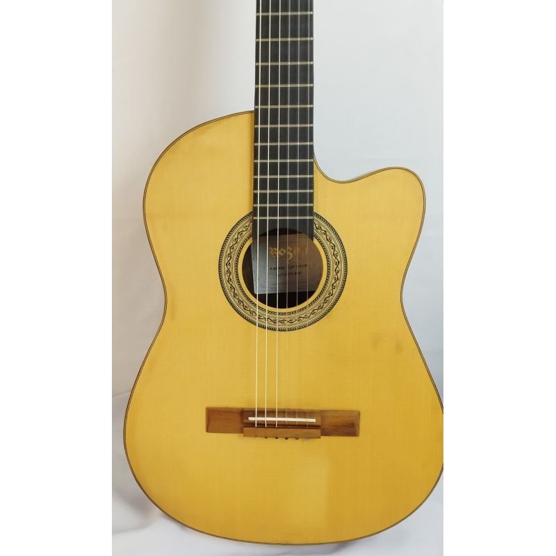 VIOLÃO ROZINI RX-515