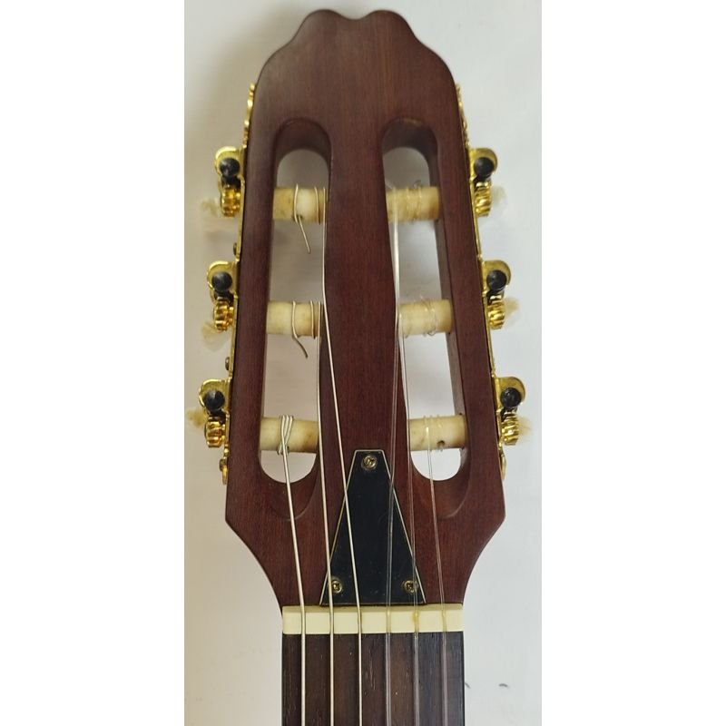 VIOLÃO T. JOHNSON TJX5N