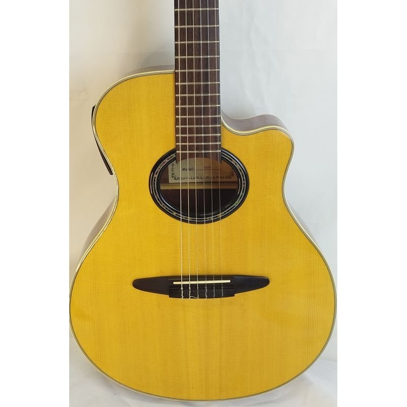 VIOLÃO T. JOHNSON TJX5N