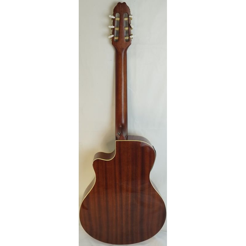 VIOLÃO T. JOHNSON TJX5N