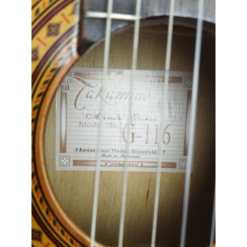VIOLÃO TAKAMINE G116