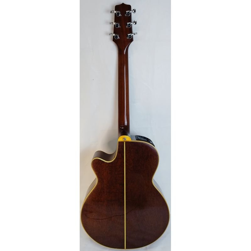 VIOLÃO TAKAMINE PT-106 (COM CASE)